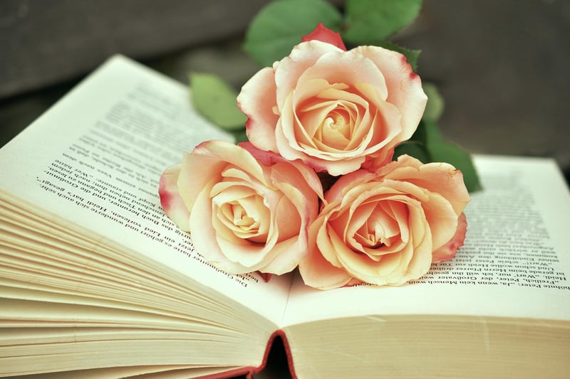 Books on a desk